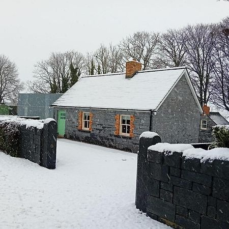 Fenniscourt Cottage Κάρλοου Εξωτερικό φωτογραφία